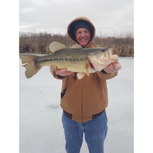Grandpa, CFA, Jayhawk
