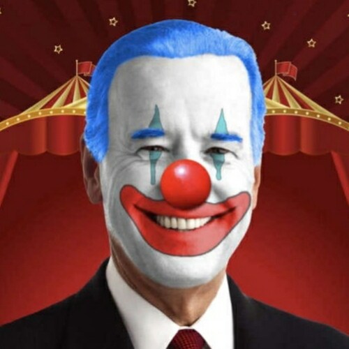 I promise to make fun of 
 our FAKE president 🤡
 as often as possible.