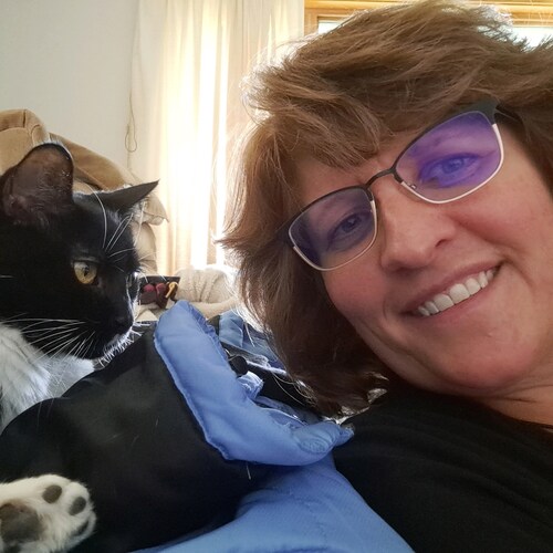 Pennsylvania cat owner. Florida Snowbird.