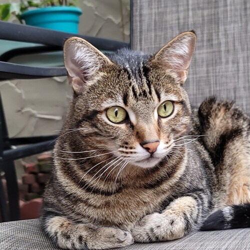 Peacefully submit to the will of the God almighty and don't worry.