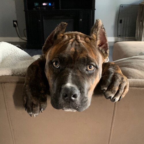 Married to my HS sweetheart 
Father or 3 teenagers 
Patriot for life!!