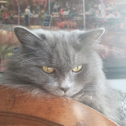 Living in pursuit of sublimity