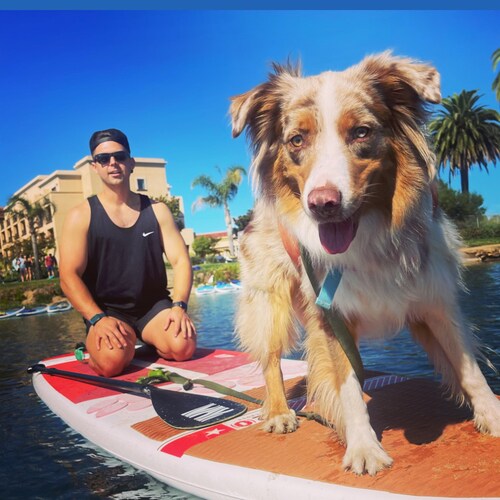 Believer, Conversationalist, Truth Seeker, Commonsense Practitioner