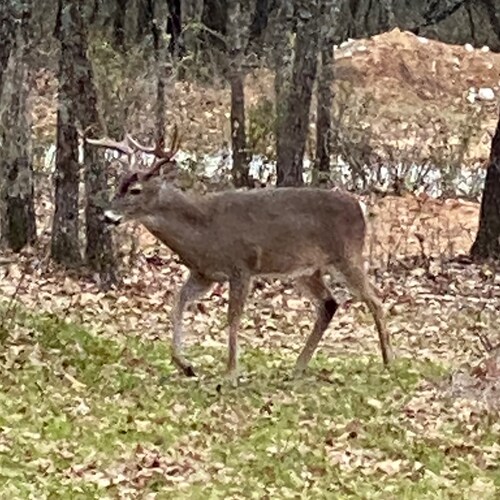 Just a simple guy, trying to keep it simple.