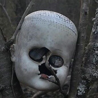 Reagan Conservative
Ron DeSantis 2024
Trump was right about almost everything.