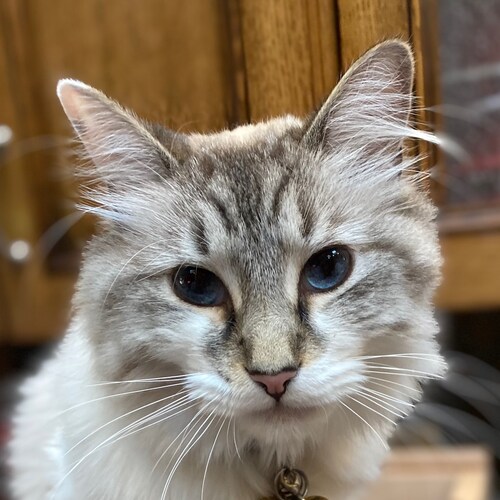 Grew up during Cold War! I was taught to question everything! Even the answers….