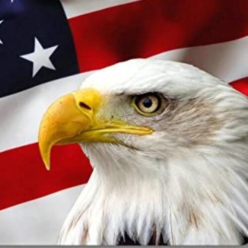 A proud American who LOVES this country and is eternally grateful to those who have served and continue to serve under t...