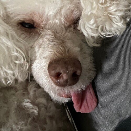 I believe in the constitution and the bill of rights. I support Trump. FJB