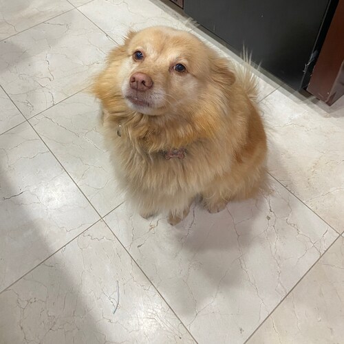 Loyal family man who loves his family and country.