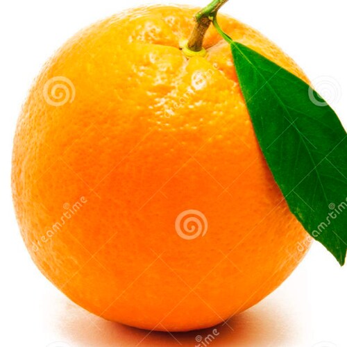 here till I get banned.