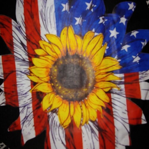 Don't CCP my USA 🇺🇸 
Biden is an illegitimate president #DitchMitch #FireMcCarthy  #RushWasRight
PresidentTrump4Ever #...