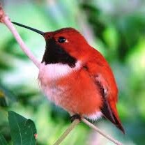 Susp. from Twitter 1/8/21 in The Great Purge. #1A #2A
#Christian #TrumpWon #Constitution #RuleofLaw #Music #TexasTeache...