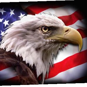 Catholic, Husband, Father of 5, Patriot