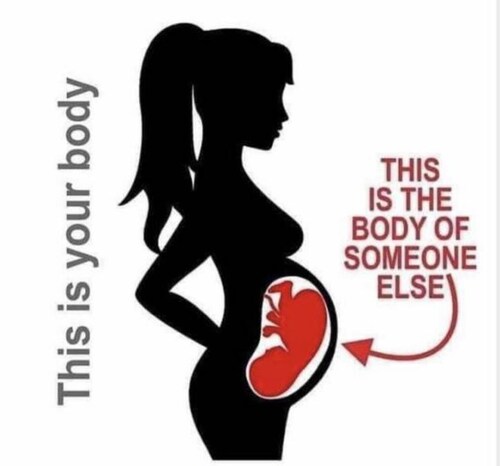 Babies have human rights, it's not your body!

Abortion is not birth control.  

#PlanDemic #FakeNew...