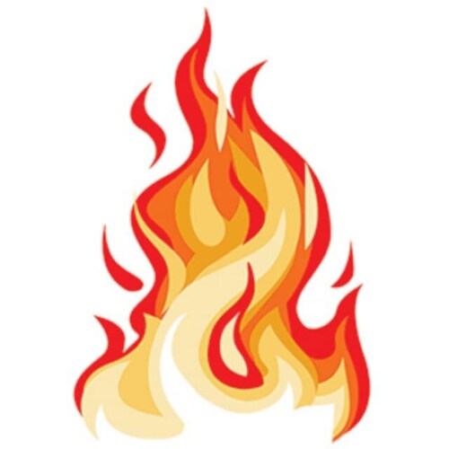 Promoting restoration of our freedom, independence and faith in our Creator. Shining Light and Truth into the darkness o...