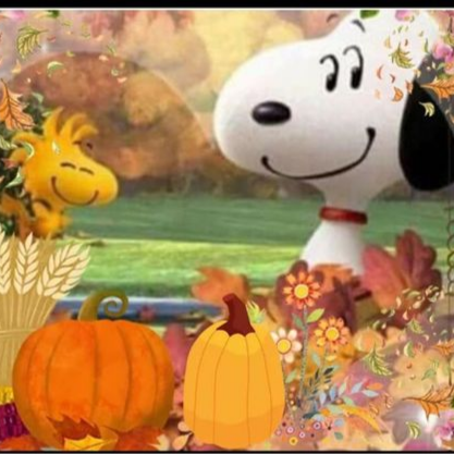 Christian wife, mom, mimi