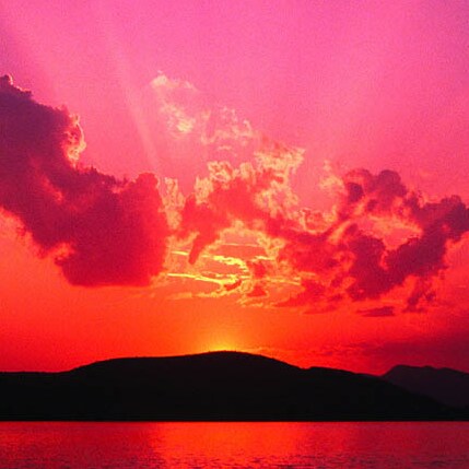 Grateful Believer! Child of God!  Beloved daughter to the King of kings!