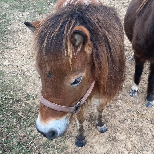 Part-time farmer, full time Patriot, wife, and friend. God is always first.