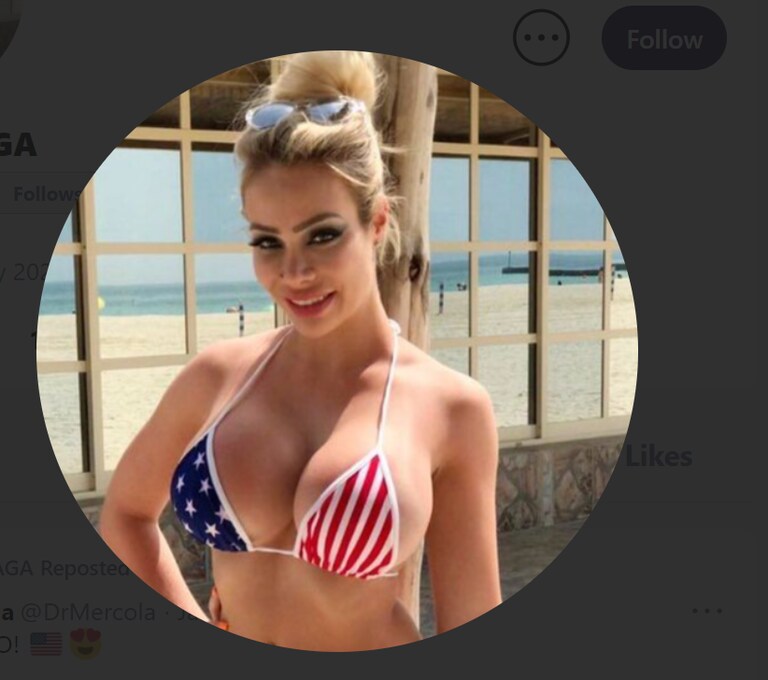 Someone with a Gettr name of SophiaaMAGA followed me three or four days ago. As customary, I was going to follow this account back, but then I noticed the