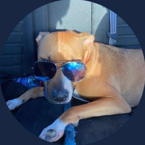 BIDEN CHEATED YOU KNOW AND I KNOW IT
🍊🍊🇺🇸🍊🍊🇺🇸🍊🍊🇺🇸🍊🍊