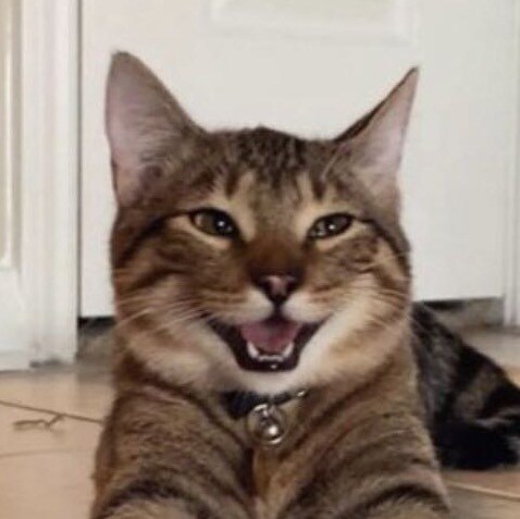 Eradicating the CCP is the mission of all mankind