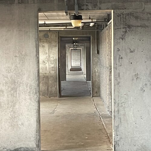 I just beat up a bisexual. He was bisexual! (Bisexual)