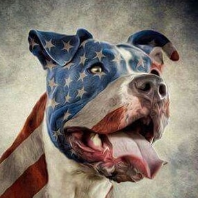 Proud Deplorable American! 🇺🇸 🇺🇸 🇺🇸
Constitutional Conservative

No DMs please - I won't respond if you do.
