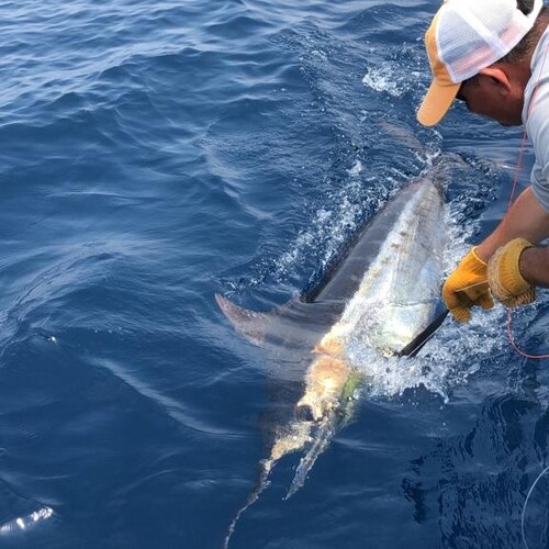 Agricultor y Ganadero, católico, pro vida y siempre de DERECHA.