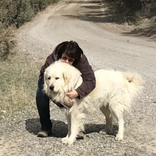 Visit viveca44's profile on GETTR. View their posts, photos, videos, and connect with them on the social platform.