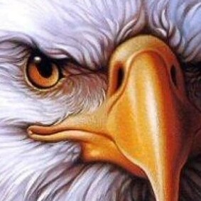 🇺🇲An American Infidel🇺🇲             🇺🇲2A🇺🇲                                       🇺🇲LEO Supporter🇺🇲      🇺🇲...