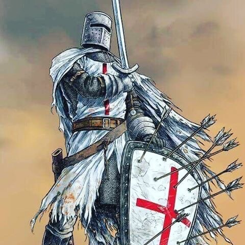 Audentes fortuna iuvat.