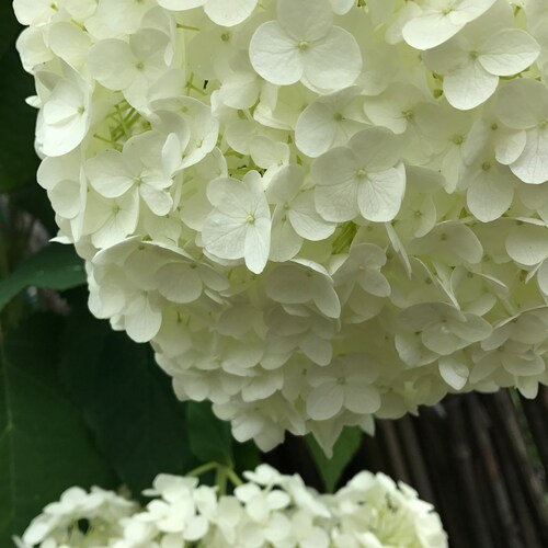 Visit mikoa7's profile on GETTR. View their posts, photos, videos, and connect with them on the social platform.