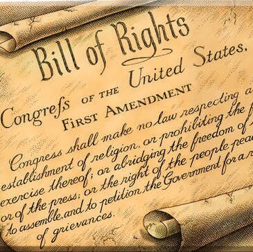 Donald J Trump is my president 🇺🇸 The Constitution is the law of the land, Support 1A & 2A!!!