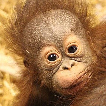 Visit ramutter 🇺🇸's profile on GETTR. View their posts, photos, videos, and connect with them on the social platform.