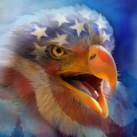 Also known as VG1and virginiagentleman1.