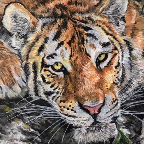 I am an artist who predominantly paints and draws pets and wildlife, some floral work too. check out my Etsy Shop for or...