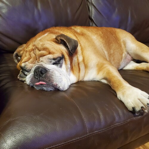 Proud mom and wife. Just want to be left alone