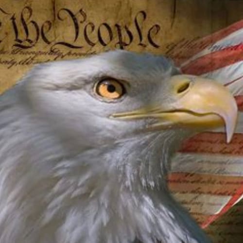 Visit jkk4782's profile on GETTR. View their posts, photos, videos, and connect with them on the social platform.