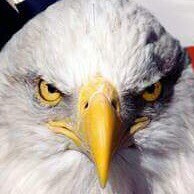 Visit The 5th Groover's profile on GETTR. View their posts, photos, videos, and connect with them on the social platform.