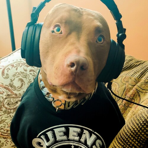 Visit noodlez1968's profile on GETTR. View their posts, photos, videos, and connect with them on the social platform.