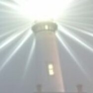 Patriot! Christian! American! 
was AngelOfLight on..the other site...   IFB 🇺🇸 🇺🇸 🇺🇸
(The Real AngelOfLight) 🍊 #BendedKnee  #BurnTheMasks #LetsGoBrandon