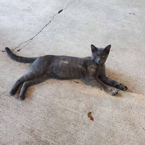 Holding out hope for the place we call home.