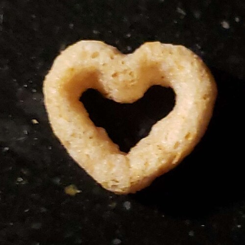 just a concerned citizen of this great land of the United States