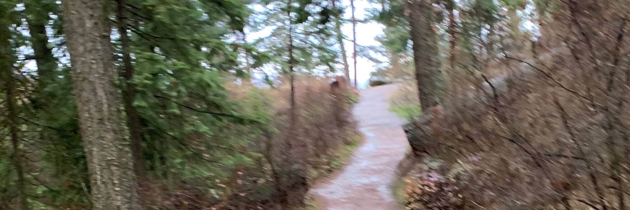 HenryRuns