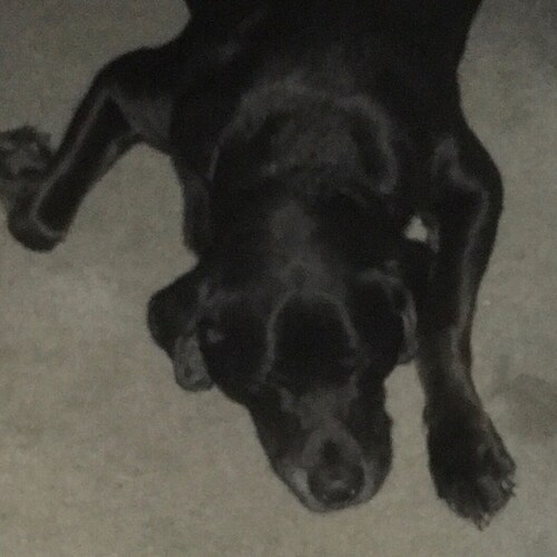 Born in Texas and will die in Texas