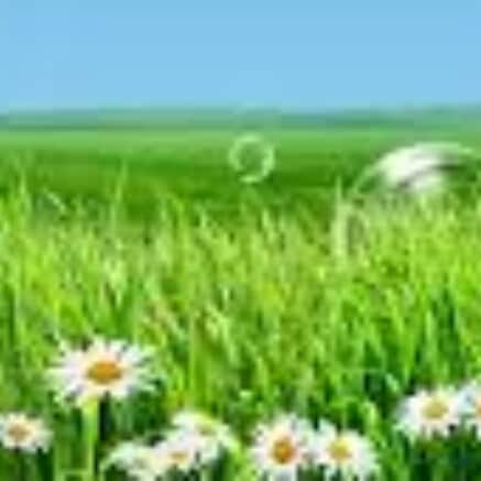 sunlight illuminates the darkness