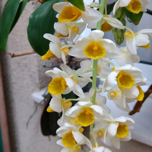 Visit Regina S's profile on GETTR. View their posts, photos, videos, and connect with them on the social platform.