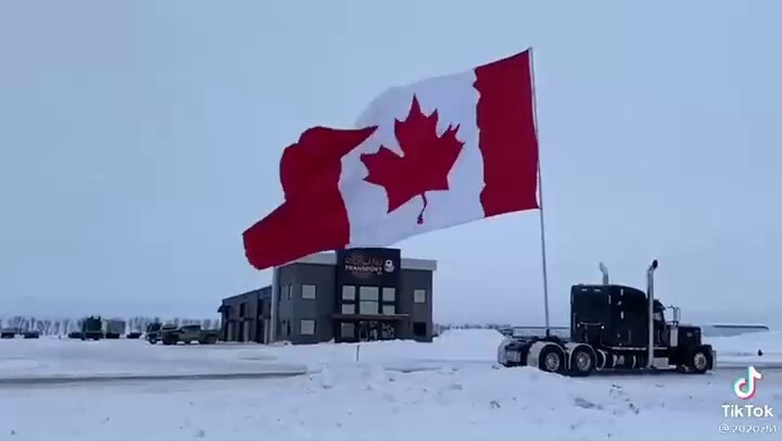     🇺🇸 BORN FREE 🇨🇦 

