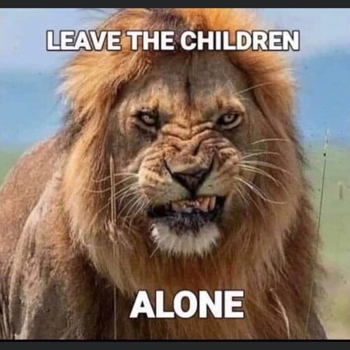 Somebody, anybody, please take him out.
