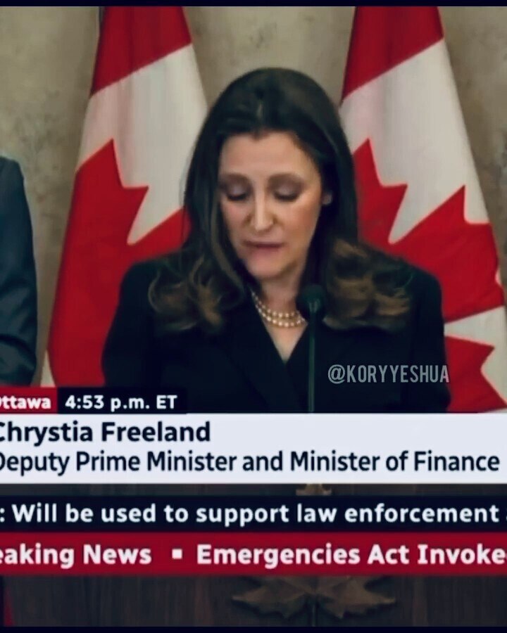 View Q anon76⭐⭐⭐⭐⭐®'s post on GETTR. Join the discussion, share your thoughts, and connect with the community.